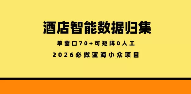 酒店智能数据归集,小众蓝海已经稳定半年之久,单窗口70+零成本矩阵开干【揭秘】