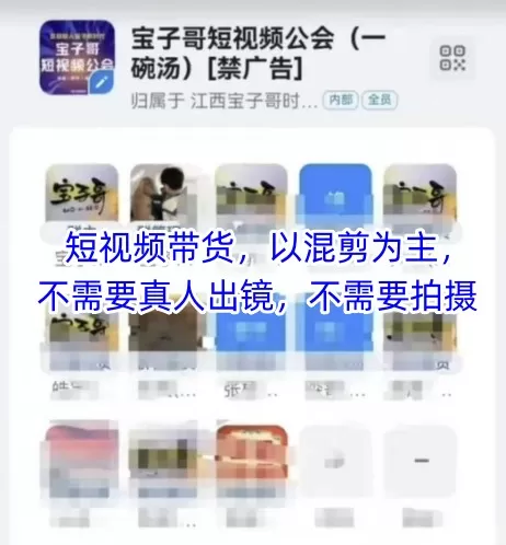 宝子哥头部团队短视频带货，以混剪为主，不需要真人出镜，不需要拍摄【更新26年3月】网创资源-中创网-冒泡网-福缘网长青创习社