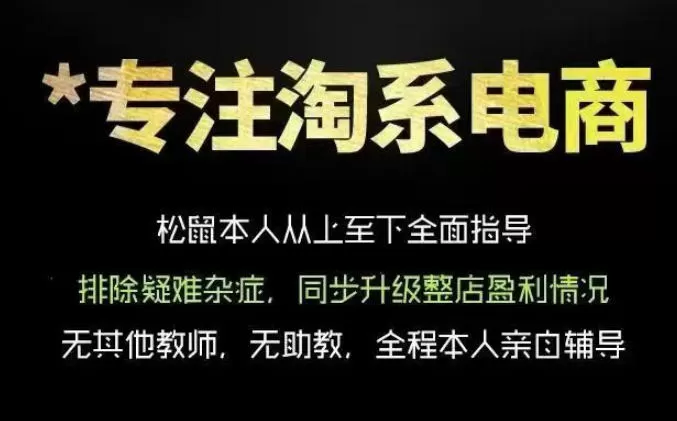 松鼠会电商VIP课程，从基础布局到高阶优化，助你掌握淘宝运营逻辑，提升店铺流量与转化网创资源-中创网-冒泡网-福缘网长青创习社