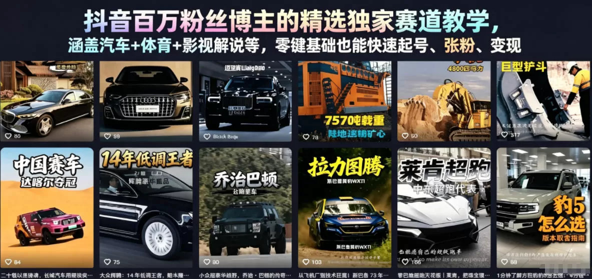 抖音百万粉丝博主的精选独家赛道教学,涵盖汽车+体育+影视解说等,零基础也能快速起号、涨粉、变现网创资源-中创网-冒泡网-福缘网长青创习社