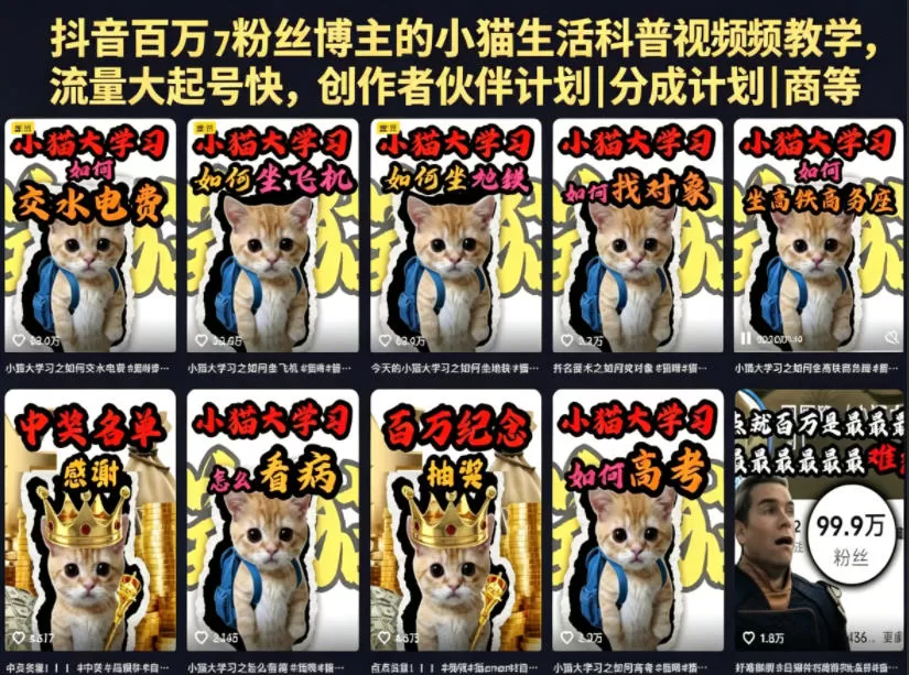抖音百万粉丝博主的小猫生活科普视频教学,流量大起号快,创作者伙伴计划|分成计划|商单|收徒等网创资源-中创网-冒泡网-福缘网长青创习社