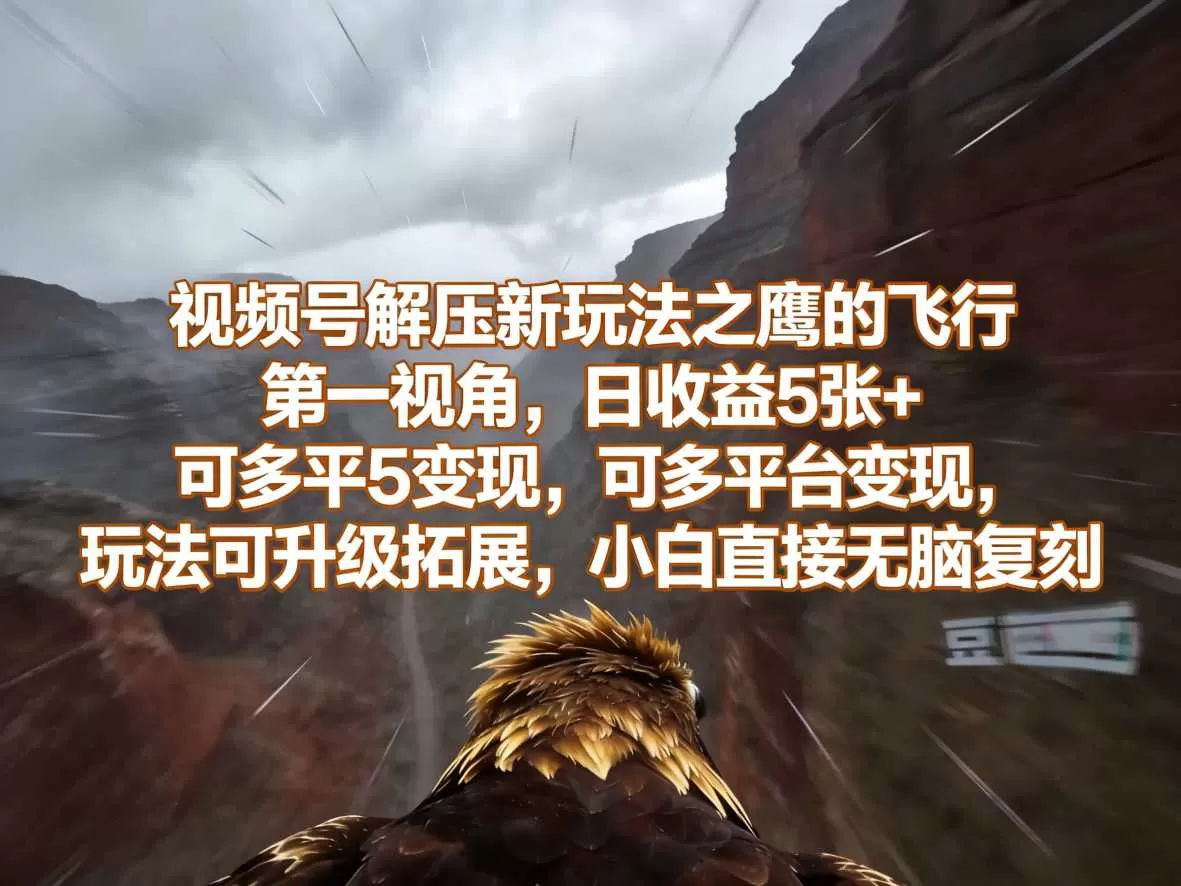 视频号解压新玩法之鹰的飞行第一视角，日收益5张+，可多平台变现，玩法可升级拓展，小白直接无脑复刻网创资源-中创网-冒泡网-福缘网长青创习社