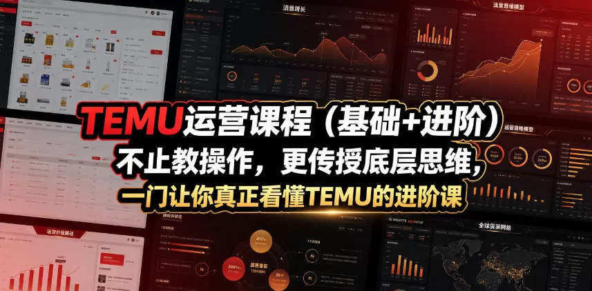 TEMU运营课程(基础+进阶)，不止教操作，更传授底层思维，一门让你真正看懂TEMU的进阶课网创资源-中创网-冒泡网-福缘网长青创习社